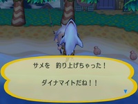 RUU_0078.JPG