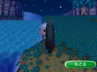 RUU_0090.JPG
