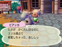RUU_0138.JPG