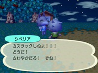RUU_0169.JPG