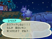 RUU_0177.JPG