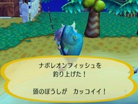 RUU_0179.JPG